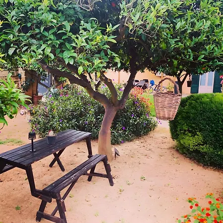 別荘 Garden